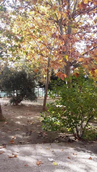 Apartamento Wanda Metropolitano - Airport - North Zone